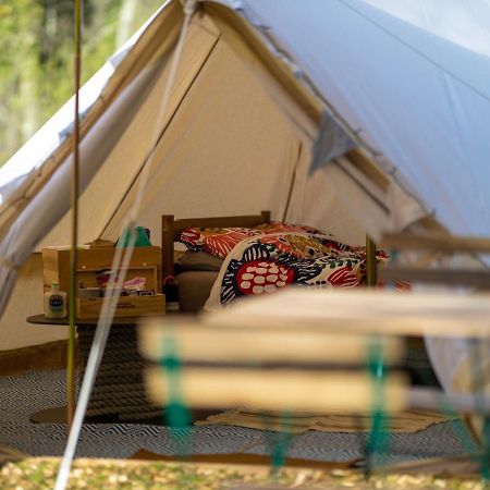 Naturally Glamping Kingsteignton Bagian luar foto