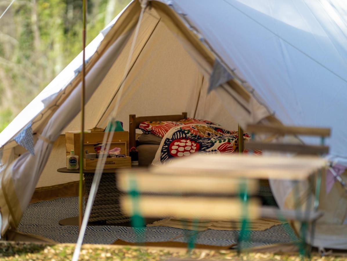Naturally Glamping Kingsteignton Bagian luar foto