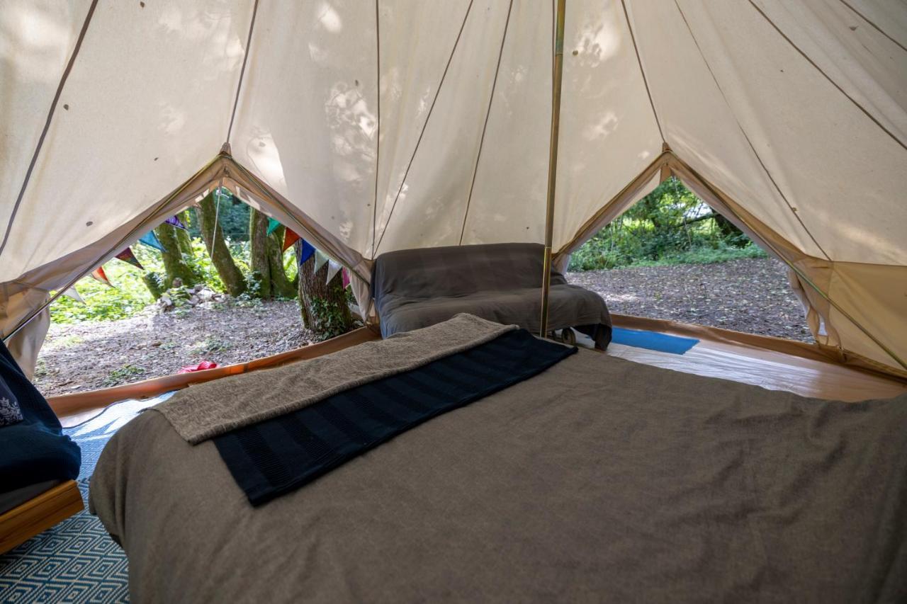 Naturally Glamping Kingsteignton Bagian luar foto